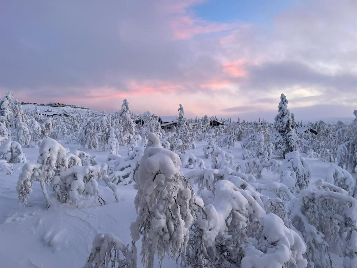 Villa Haukka Saariselka Exteriér fotografie